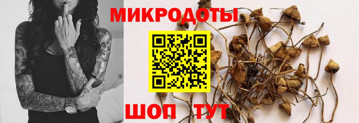 купить   Псилоцибиновые грибы Magic Shrooms  Тейково  Вход с VPN  Галлюциногенные грибы Psilocybe 